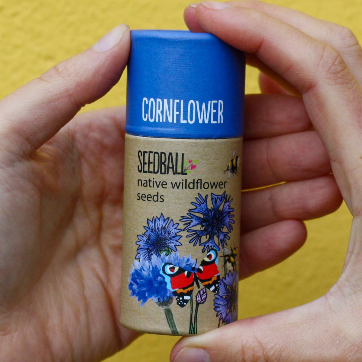 Wildflower Seedball Tubes - Mixed Box