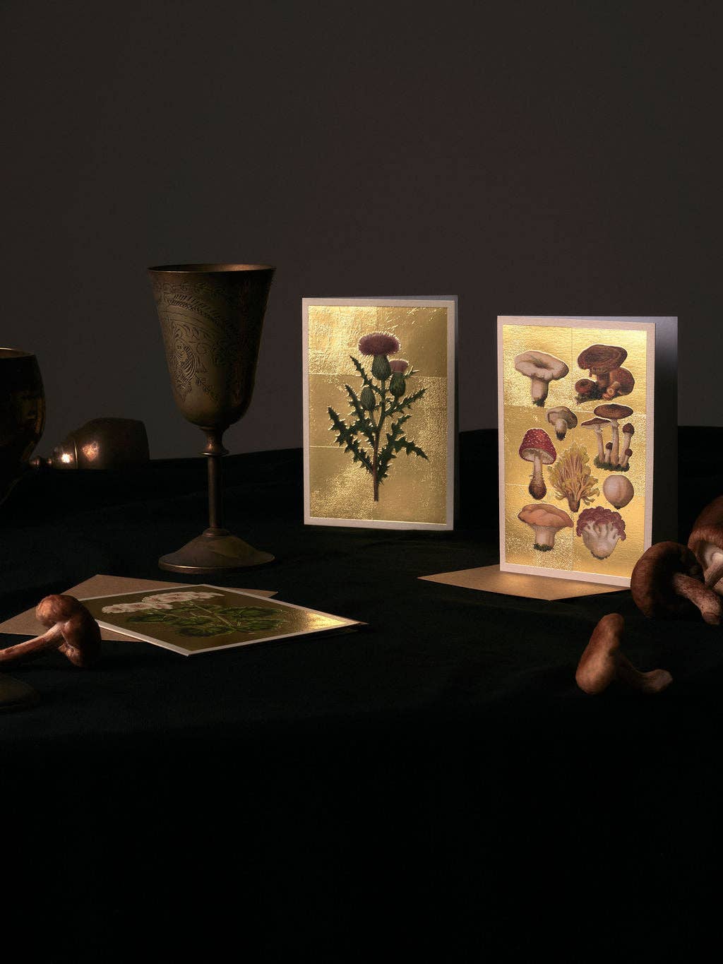 Cacti Greeting Card (12008)