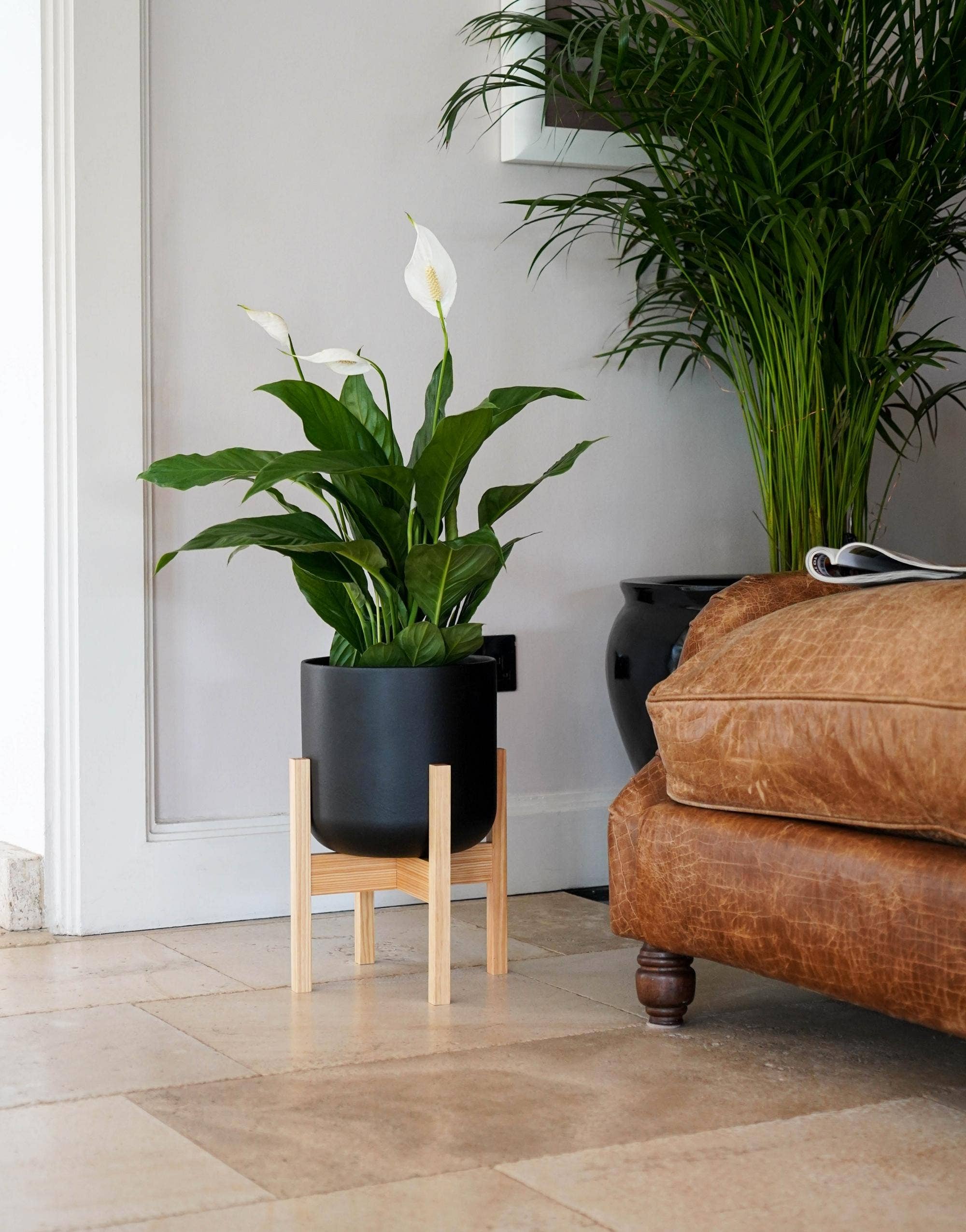 Lisbon Ceramic Indoor Planter with Wooden Stand