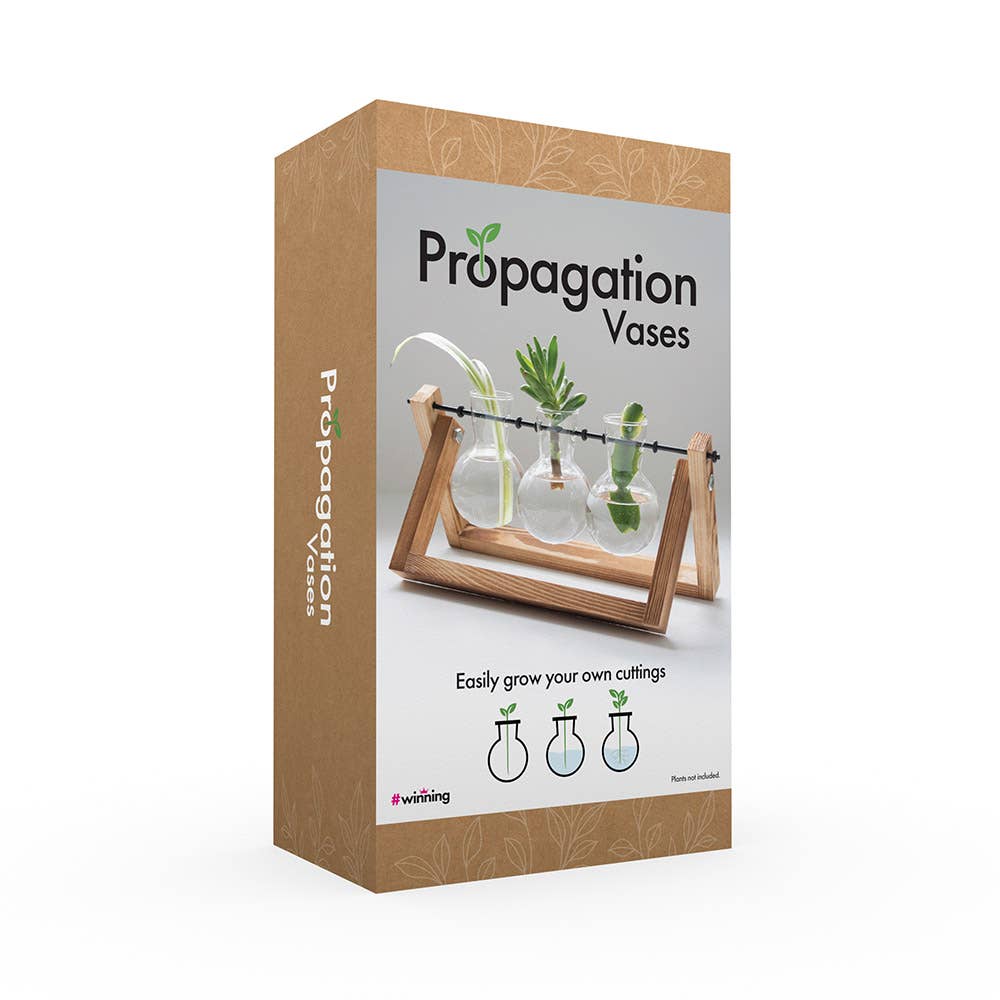 Propagation Vases
