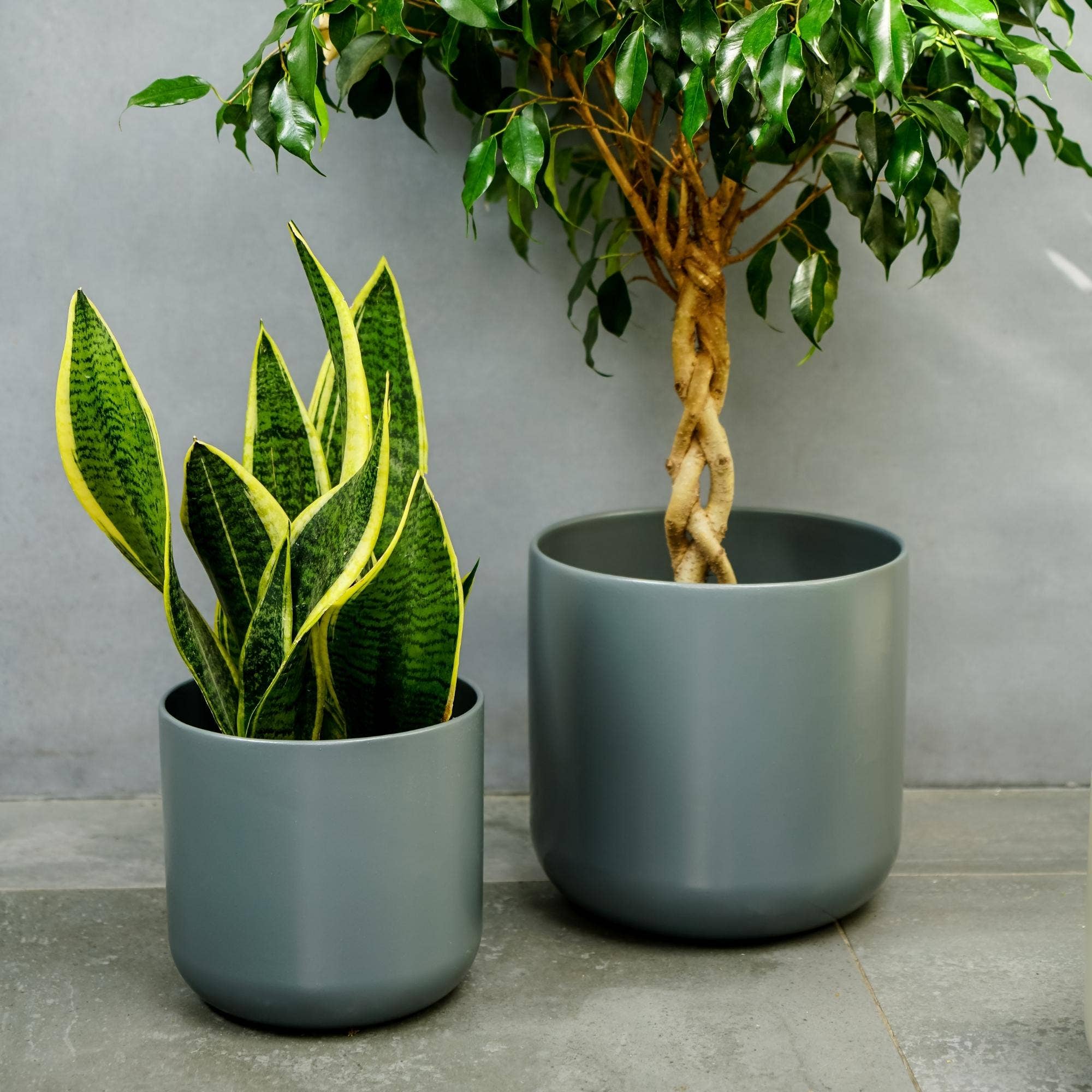 Lisbon Ceramic Indoor Planter H24cm D24cm