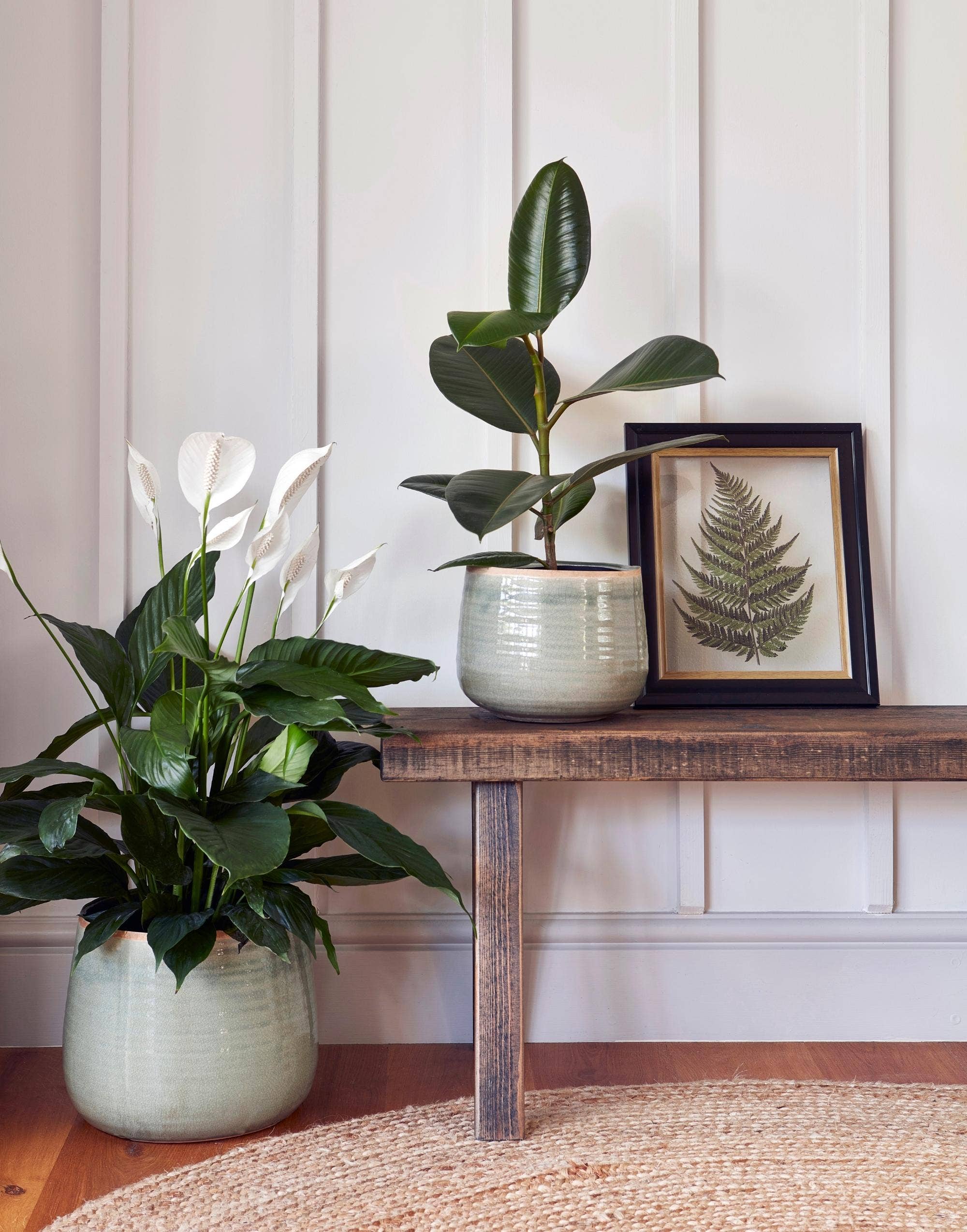 Como Hand Finished Indoor Ceramic Plant Pot D21cm & D26cm