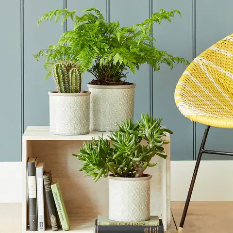 Glazed Pot - Porto Small Grey