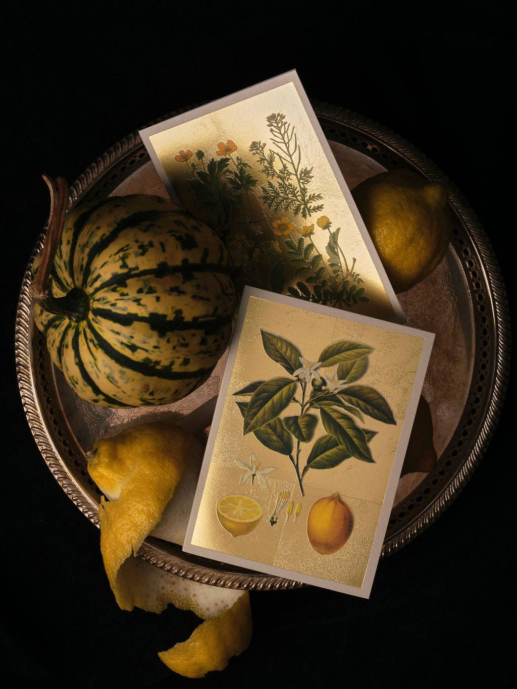 Thistle Greeting Card (12002)