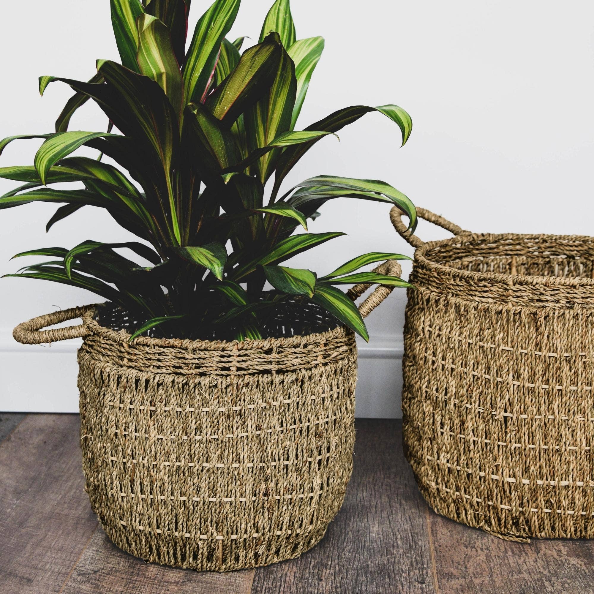 Sustainable Seagrass Indoor Lined Basket Planter