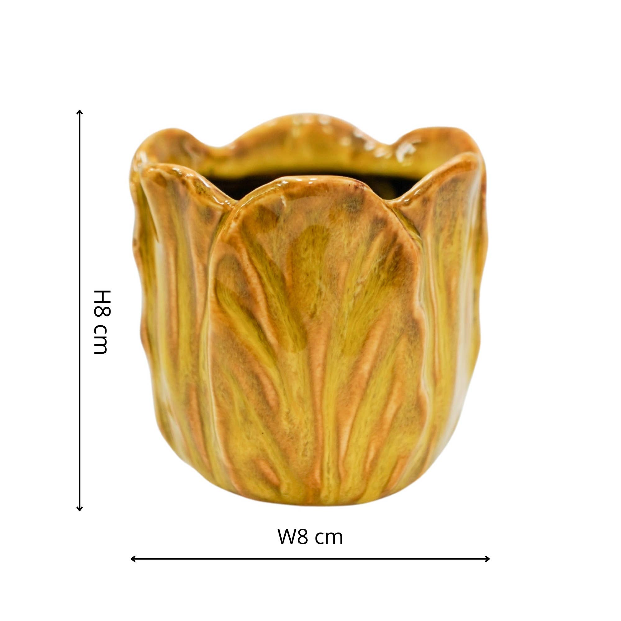 Alyssa Tulip Planter