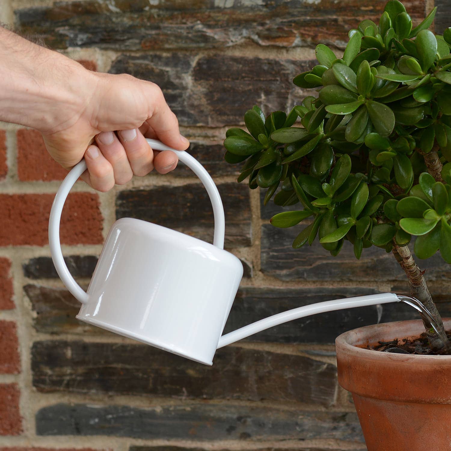 White Chalk 1.1 Litre Metal Coated Steel Indoor Watering Can