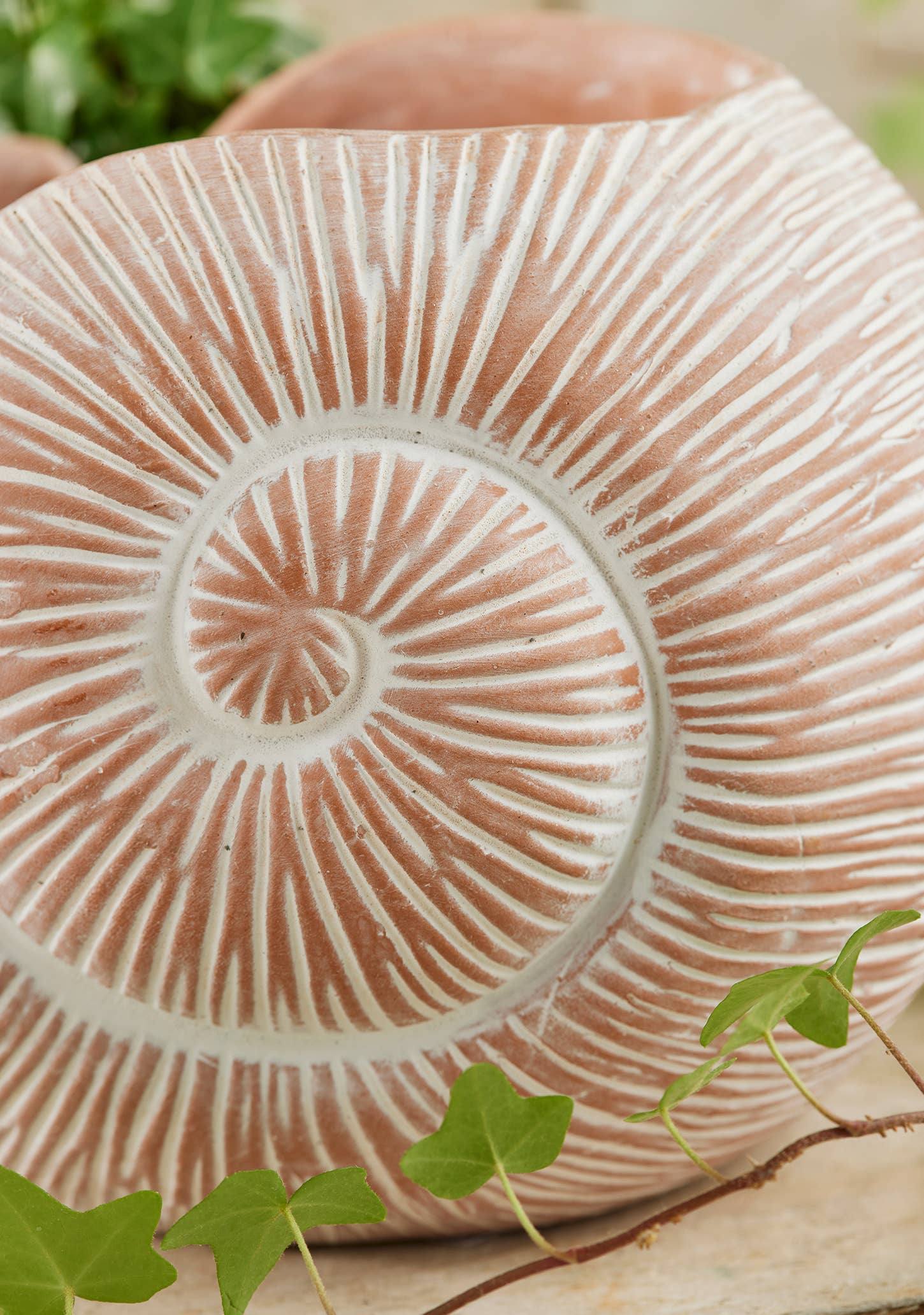 Terracotta Nautilus Planter