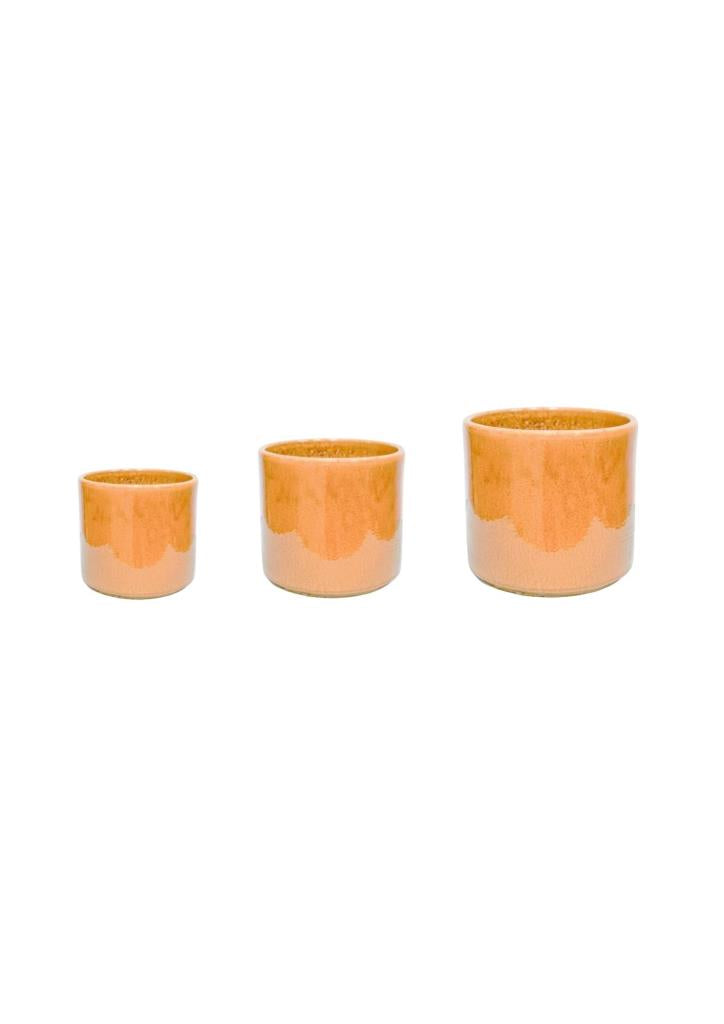 Outdoor Hazelton Honey Planter