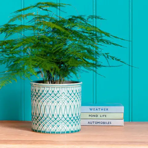 Glazed Pot - Morocco