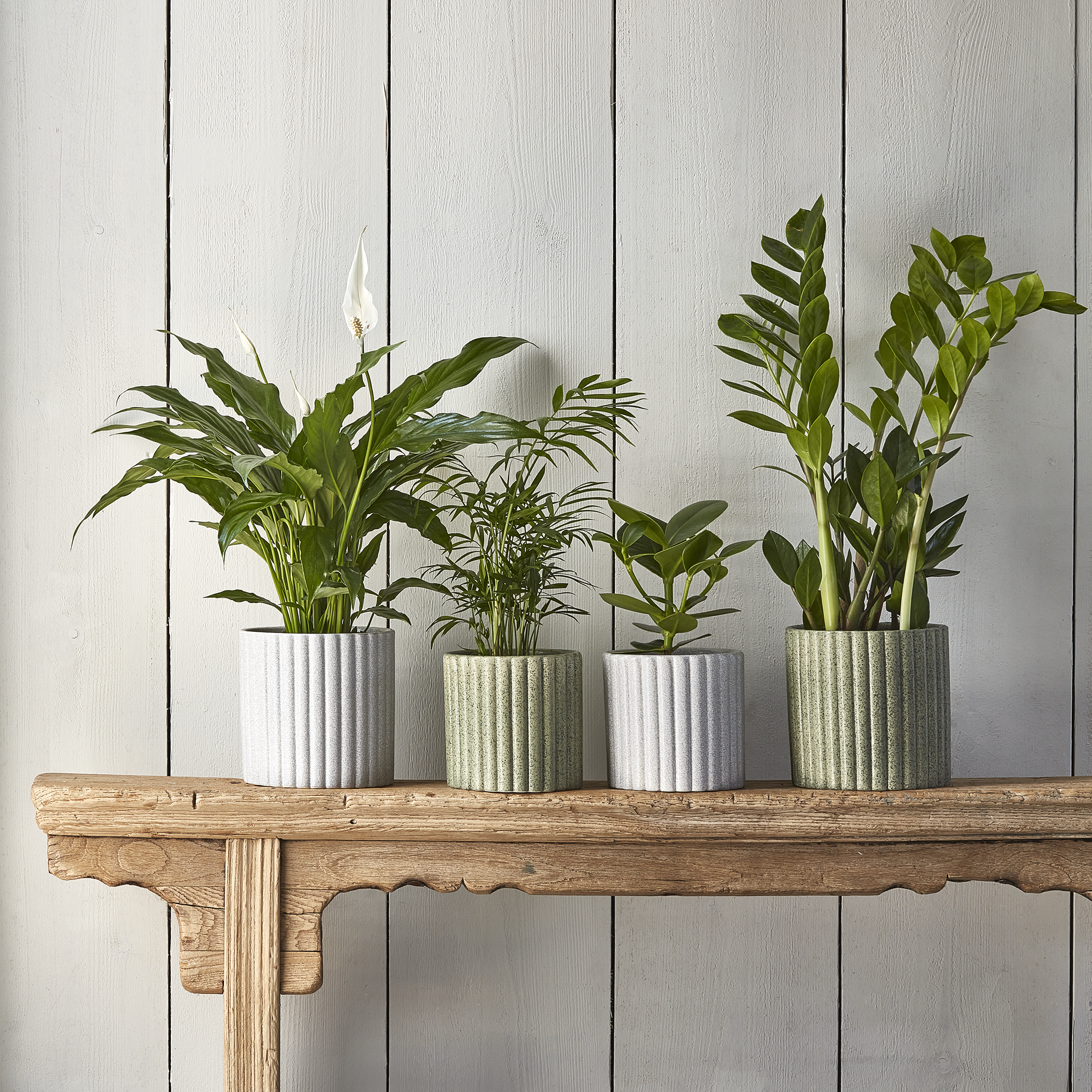 Azalea Stone Ribbed Speckle Earthenware Indoor Planter