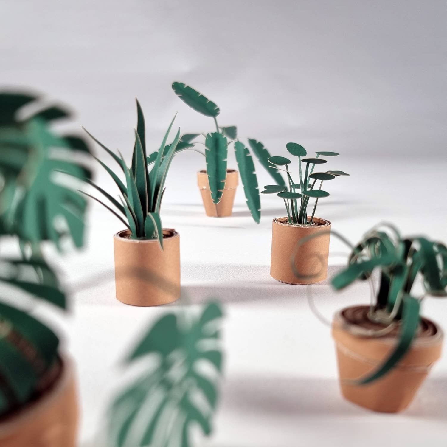 Paper Plants | Origami Kit for Desk Decor | DIY Gift