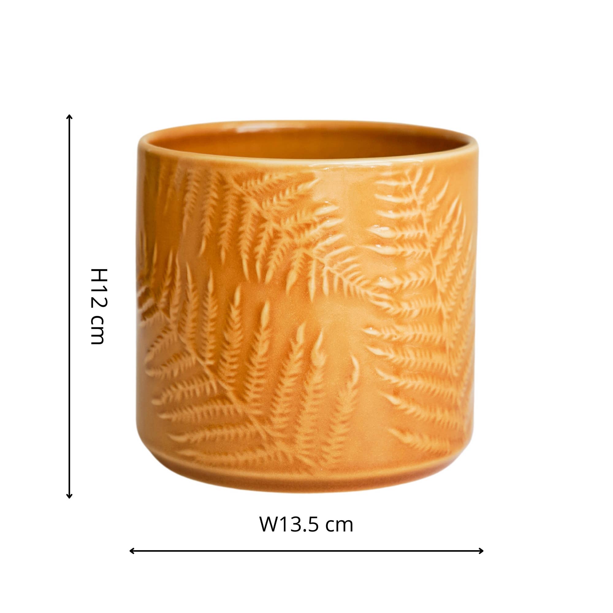 Orla Glazed Fern Planter