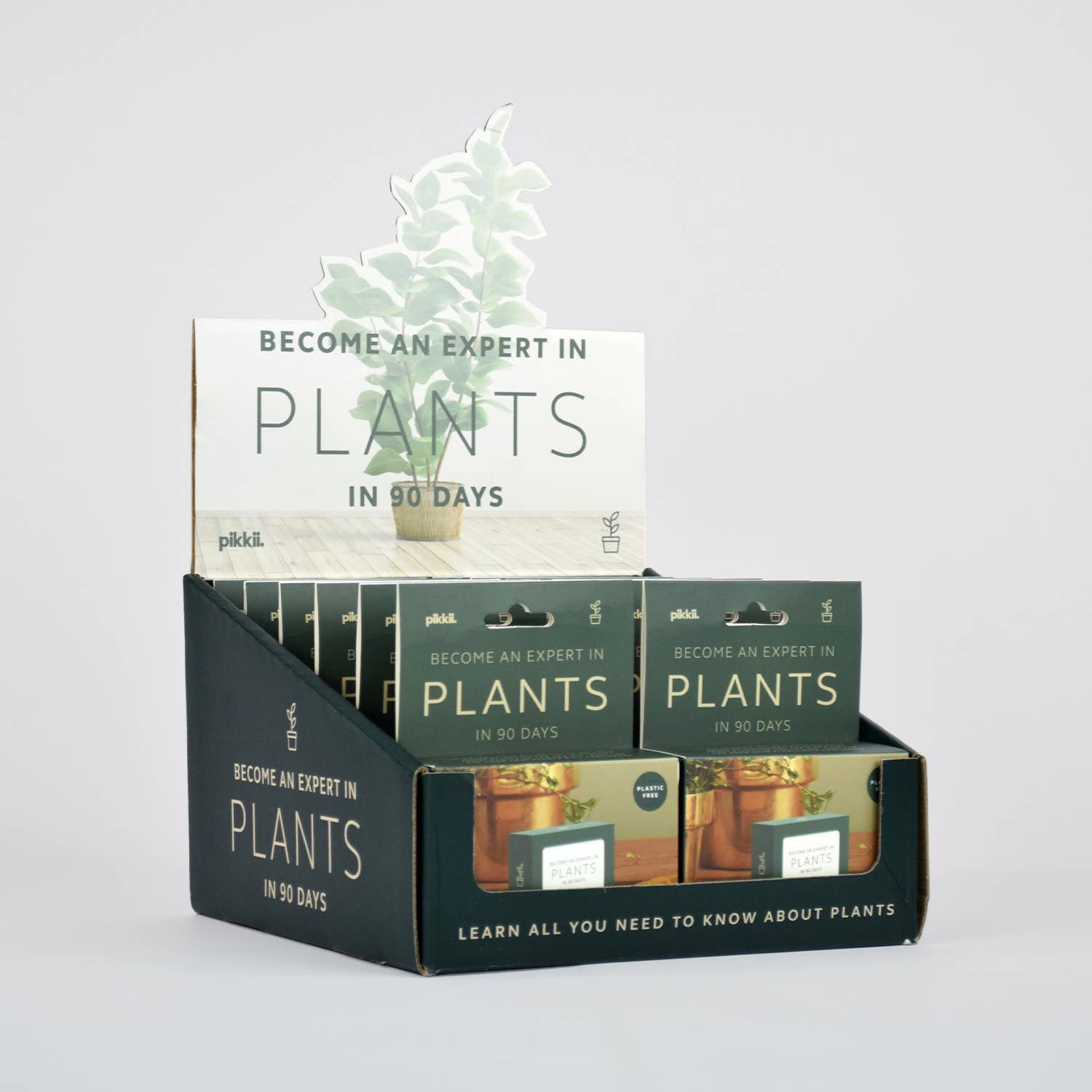 Become an Expert in Plants in 90 Days Slide Box | Plant Gift