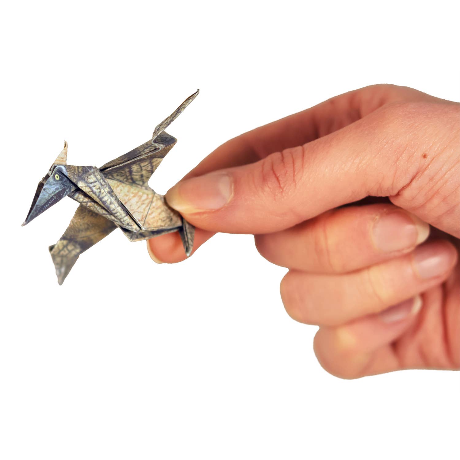 Paper Dinos | Perfect for Dino Enthusiasts | Cute DIY Kit
