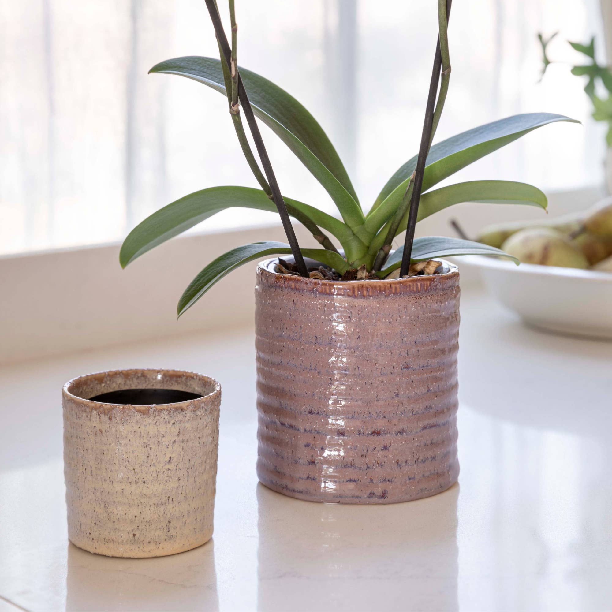 Chambray Reactive Glaze Ceramic Indoor Planter In Ivory