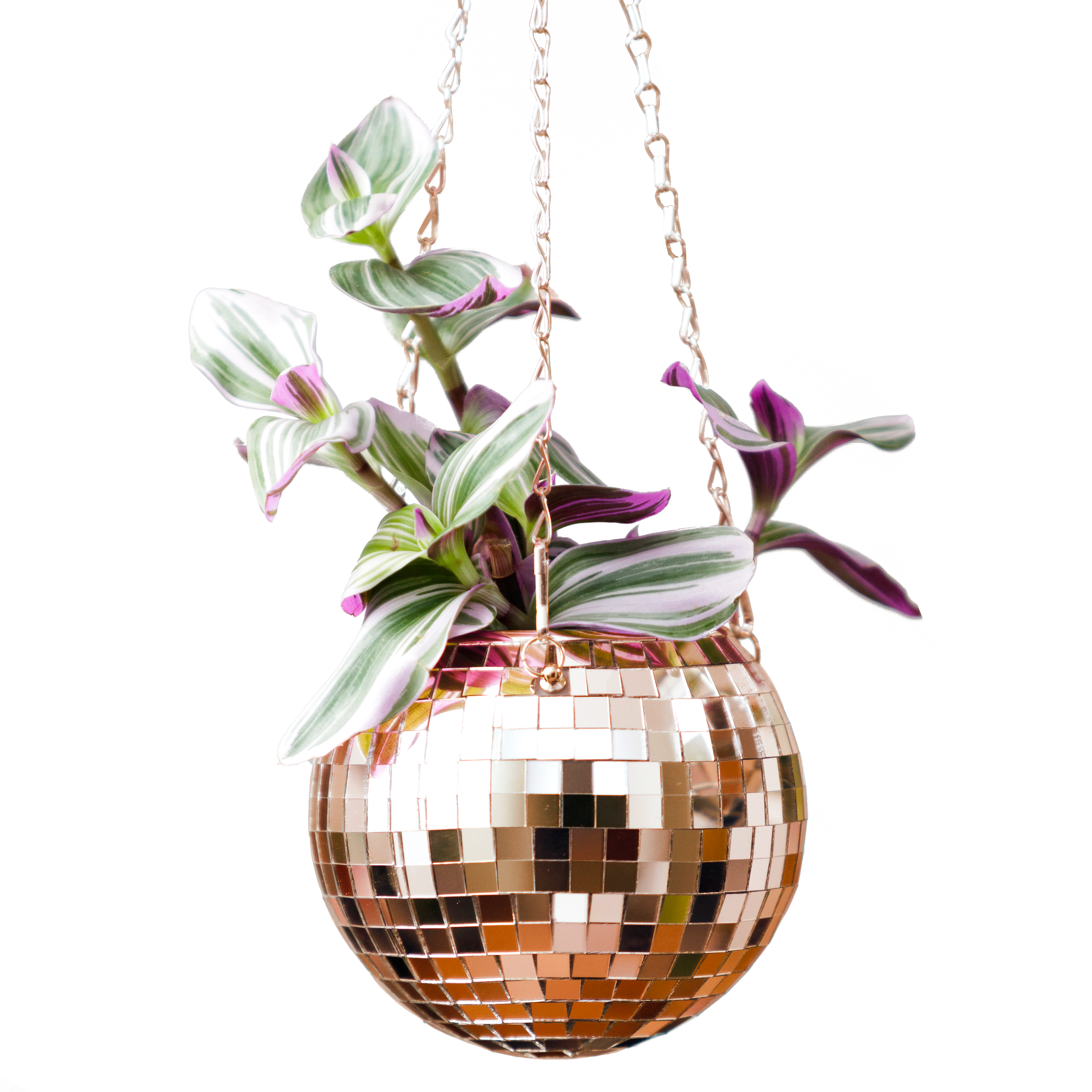 Disco Ball Hanging Planter - Rose Gold (6in)