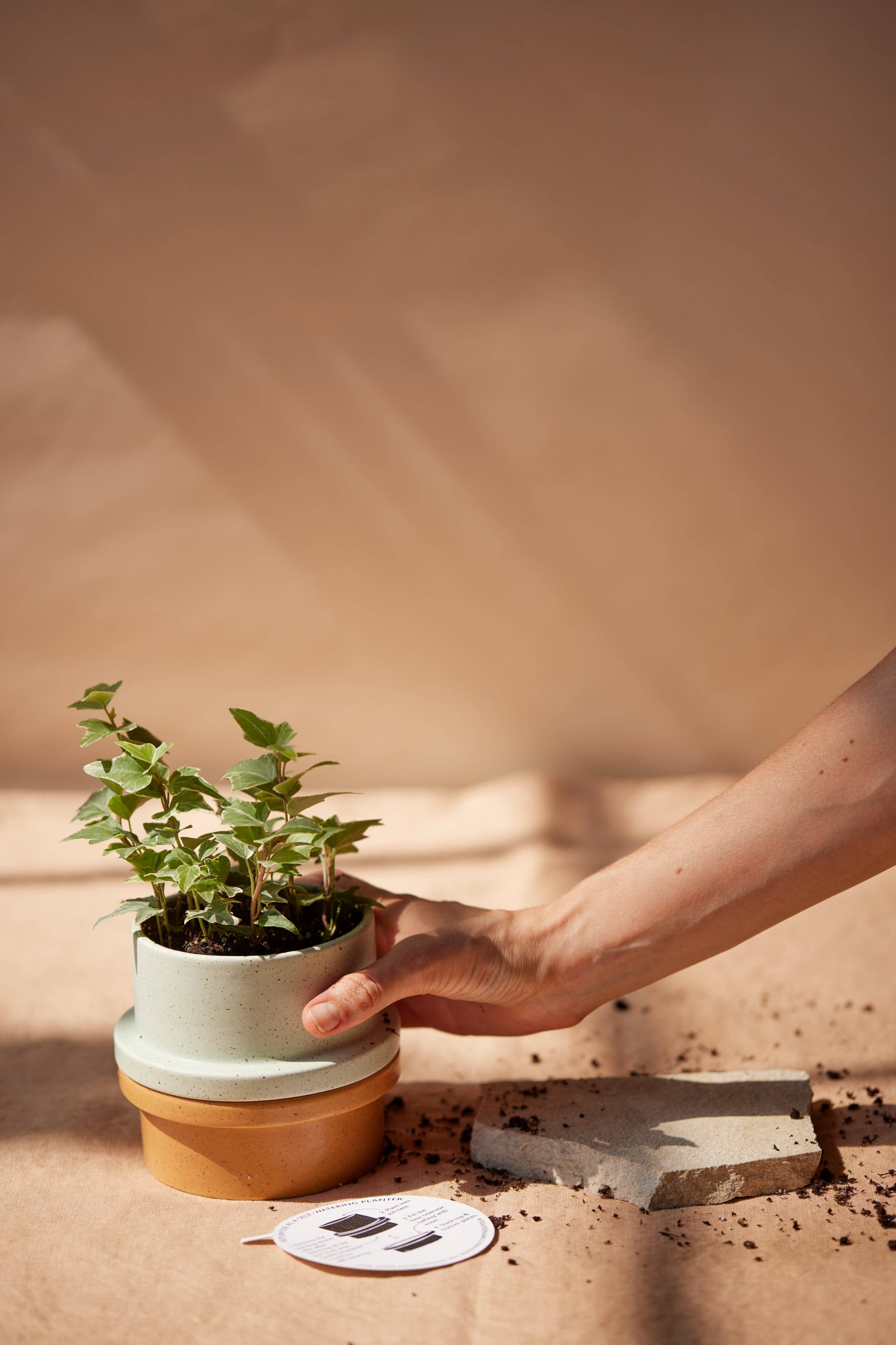 Paddywax Folia Ceramic Candle - Emerald - Thyme & Olive Leaf