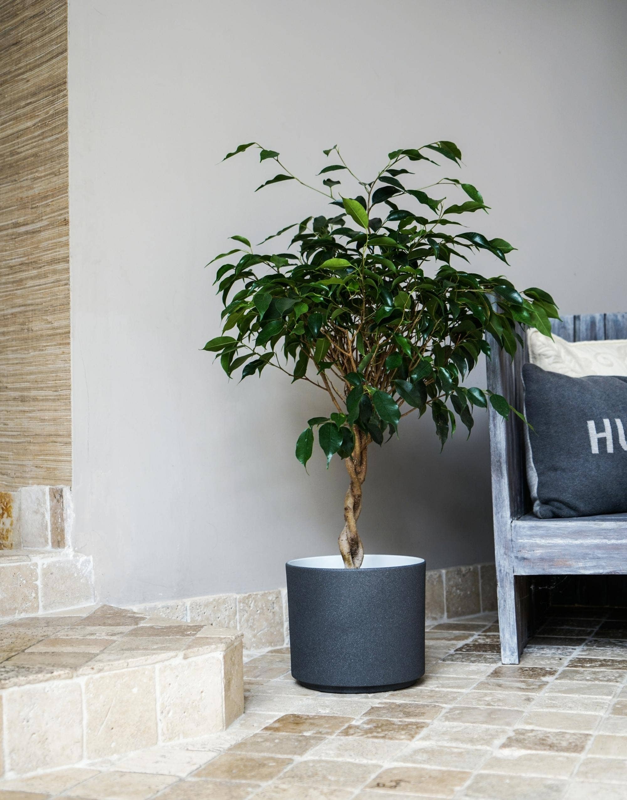 Leon Premium Glaze, Ceramic Planter