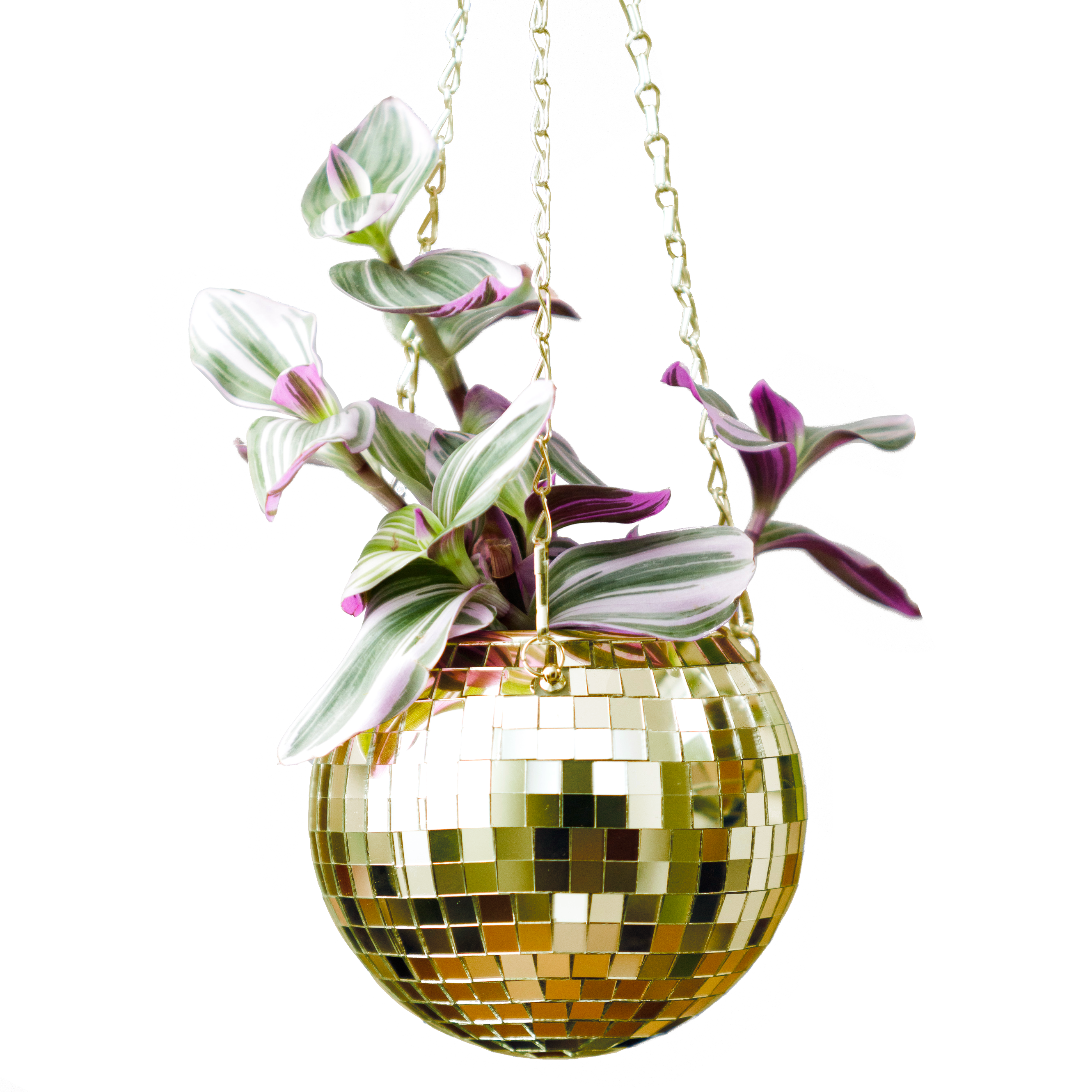 Disco Ball Hanging Planter - Gold (6in)