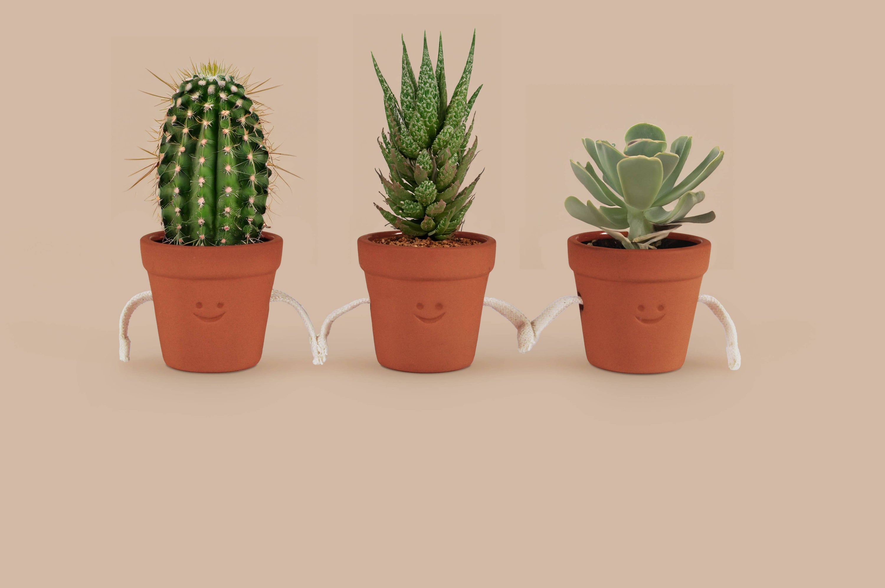 Hand-Holding Succulent Pots | Ceramic Planters | Cute Gift