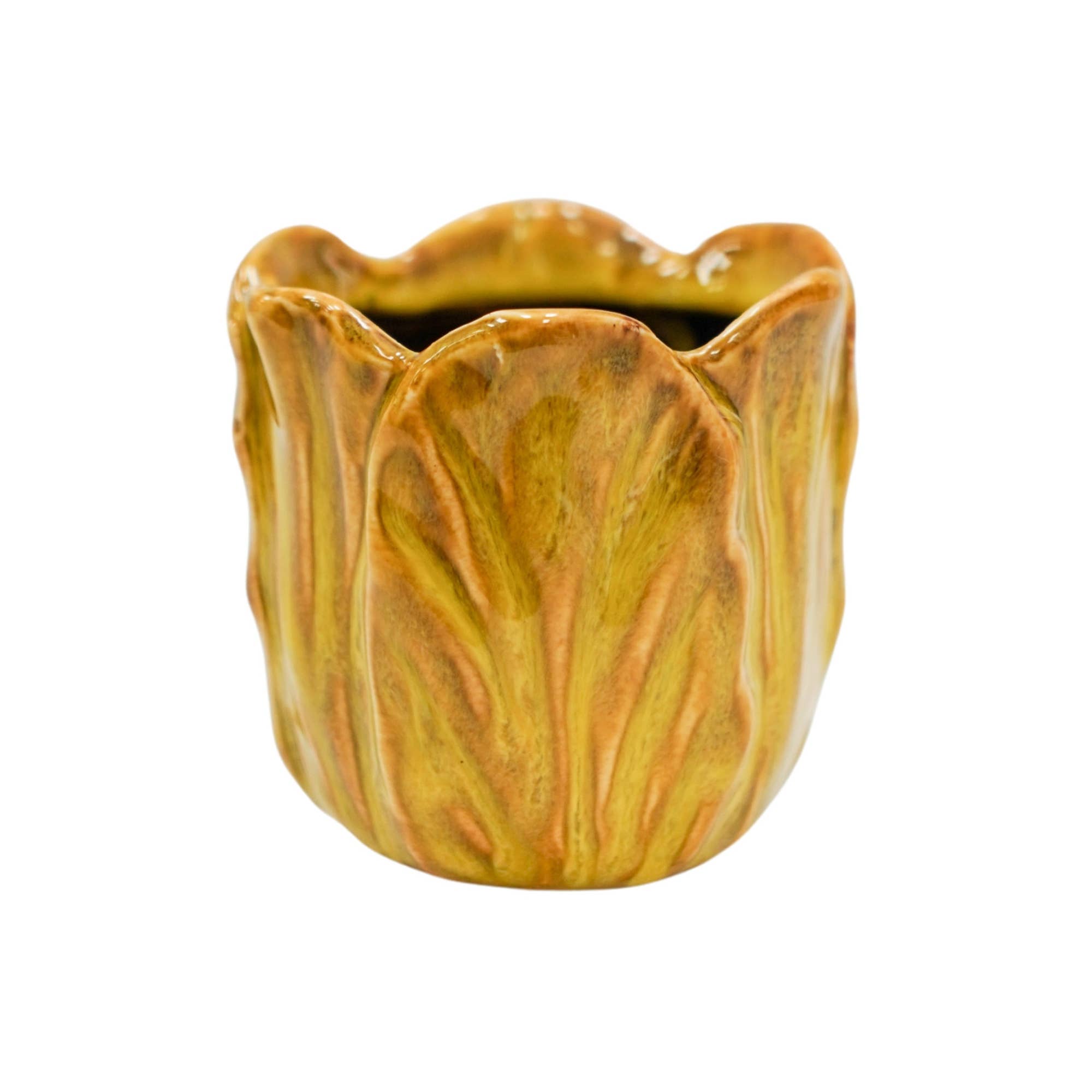 Alyssa Tulip Planter