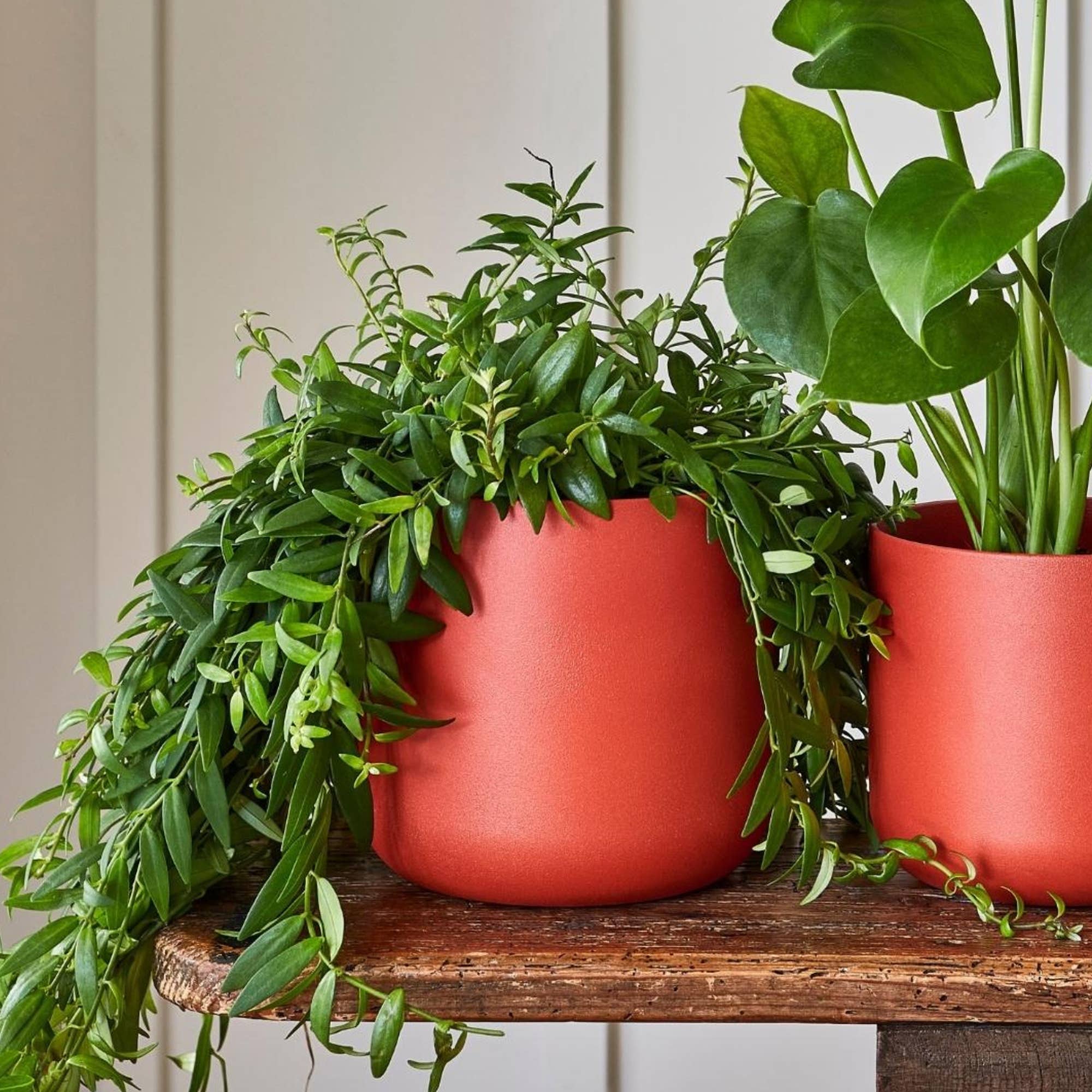 Lisbon Ceramic Indoor Planter H24cm D24cm