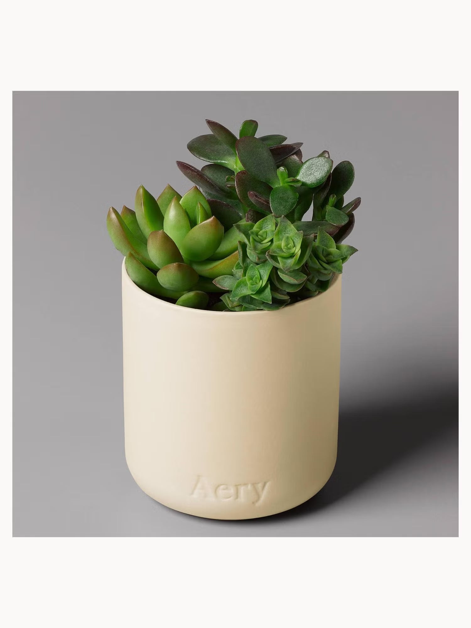 Himalayan Cedarleaf Scented Candle by Aery